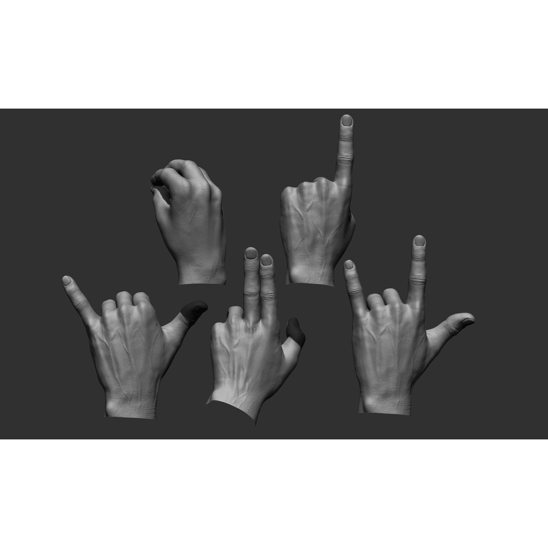 Realistic Male Hands 3D Model – High Poly Collection, Zbrush, FBX, OBJ - View 4