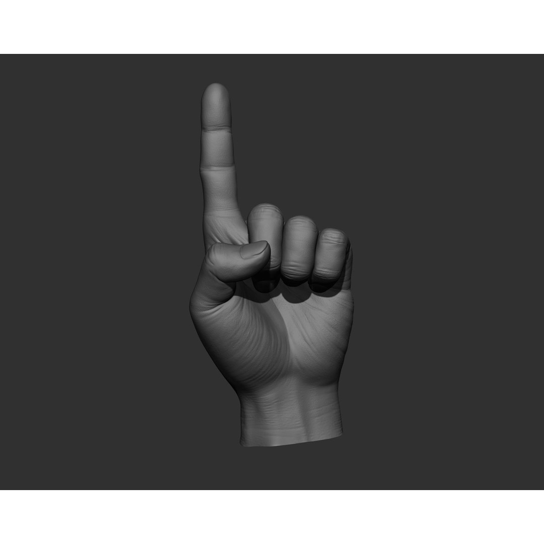 Realistic Male Hands 3D Model – High Poly Collection, Zbrush, FBX, OBJ - View 5