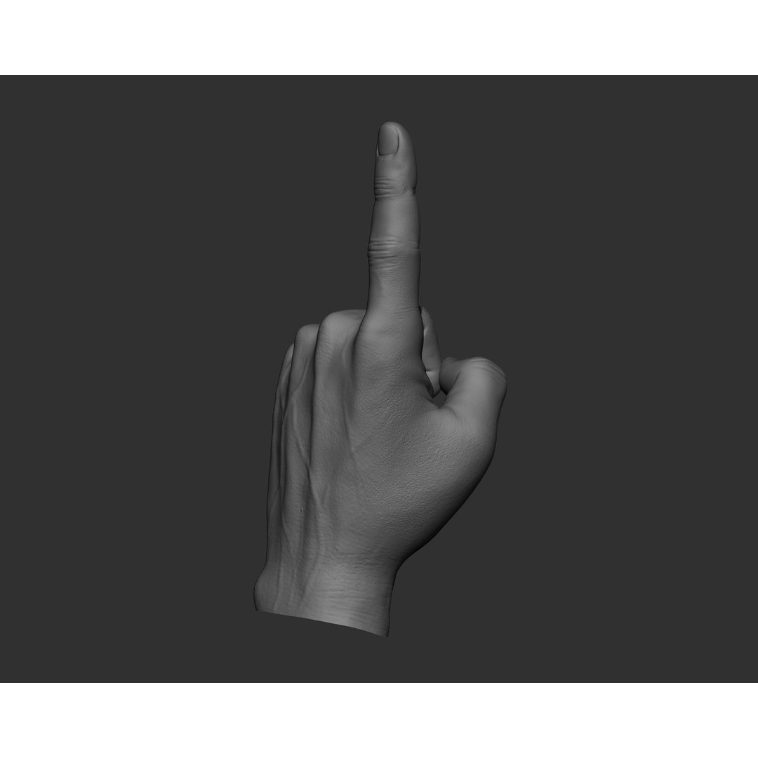 Realistic Male Hands 3D Model – High Poly Collection, Zbrush, FBX, OBJ - View 8