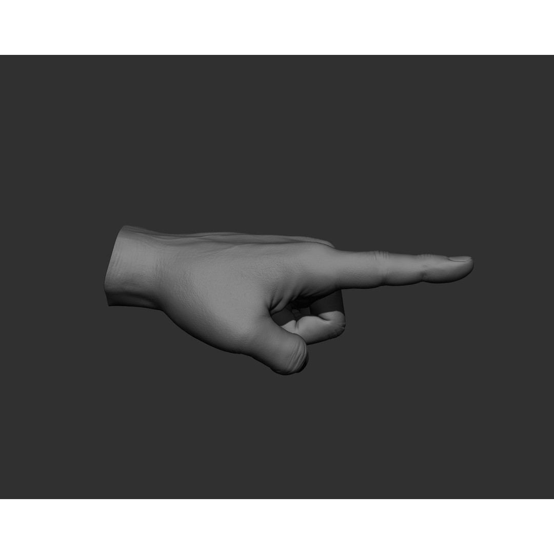 Realistic Male Hands 3D Model – High Poly Collection, Zbrush, FBX, OBJ - View 9