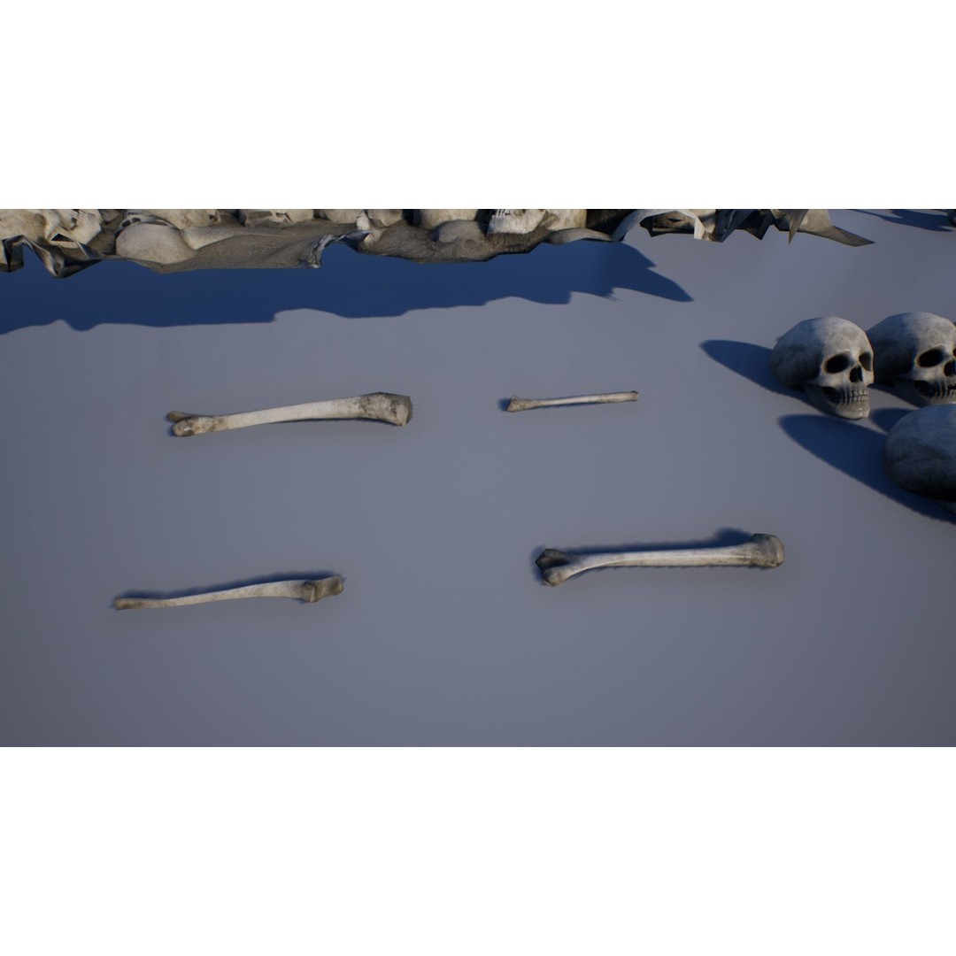 Skeleton and Bones Low-Poly 3D Model – Rigged Game Asset, FBX