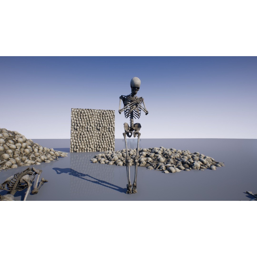 Skeleton and Bones Low-Poly 3D Model – Rigged Game Asset, FBX - View 10