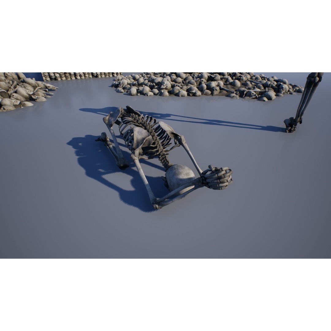 Skeleton and Bones Low-Poly 3D Model – Rigged Game Asset, FBX - View 11
