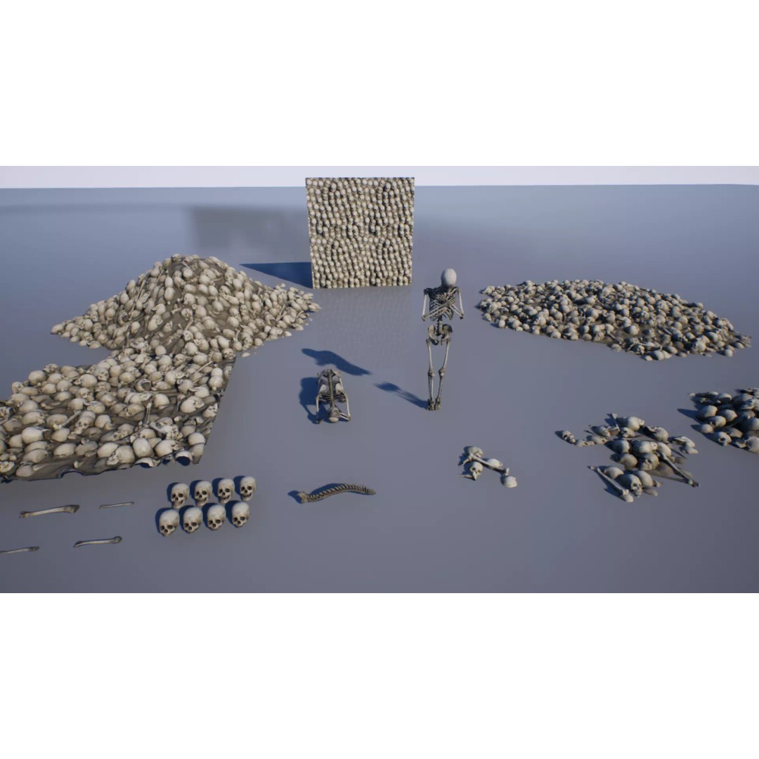 Skeleton and Bones Low-Poly 3D Model – Rigged Game Asset, FBX - View 2