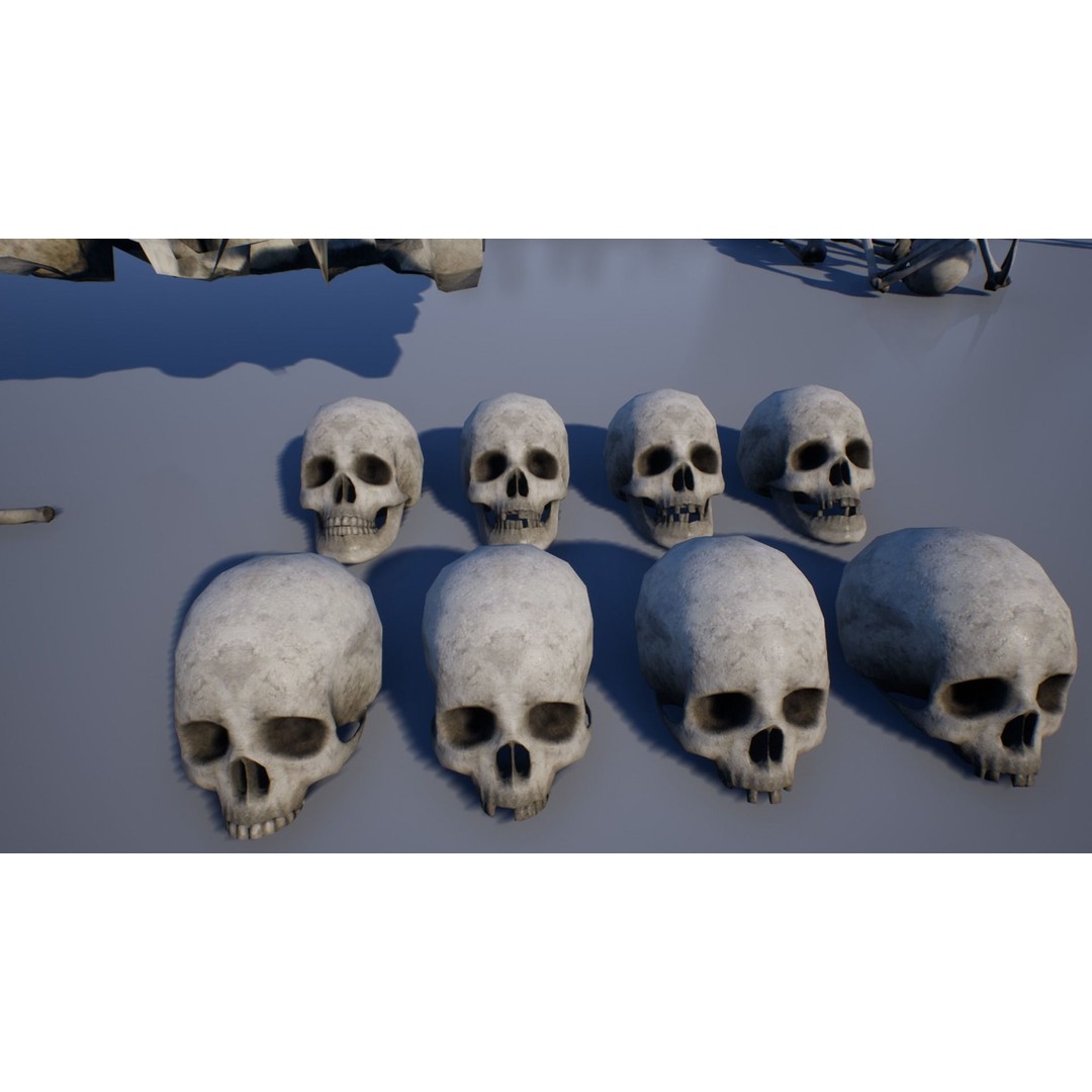 Skeleton and Bones Low-Poly 3D Model – Rigged Game Asset, FBX - View 3