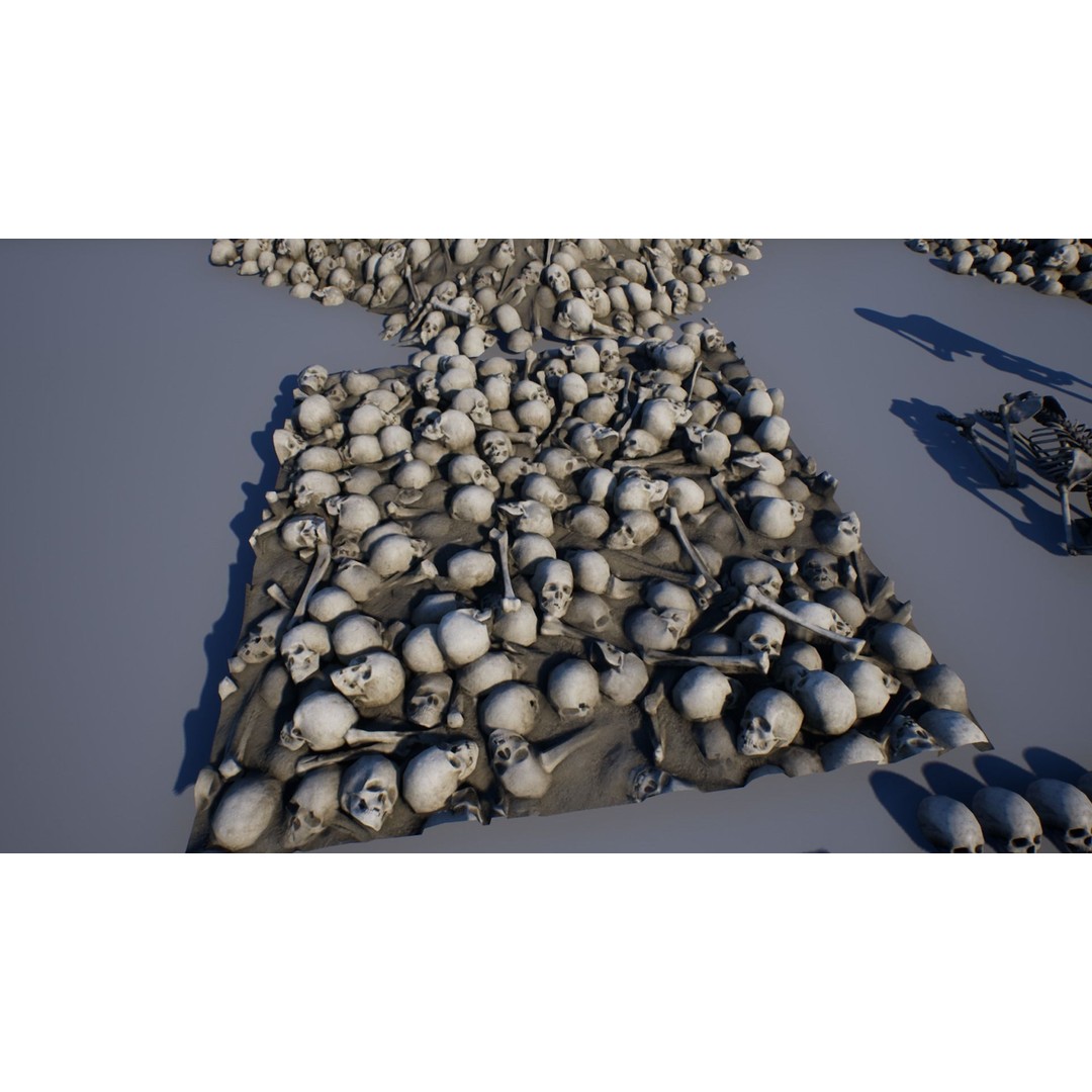 Skeleton and Bones Low-Poly 3D Model – Rigged Game Asset, FBX - View 5