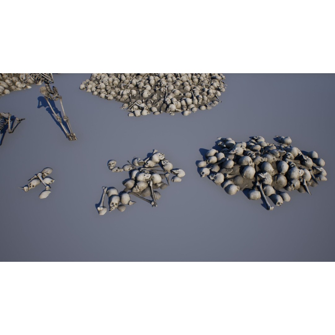 Skeleton and Bones Low-Poly 3D Model – Rigged Game Asset, FBX - View 9