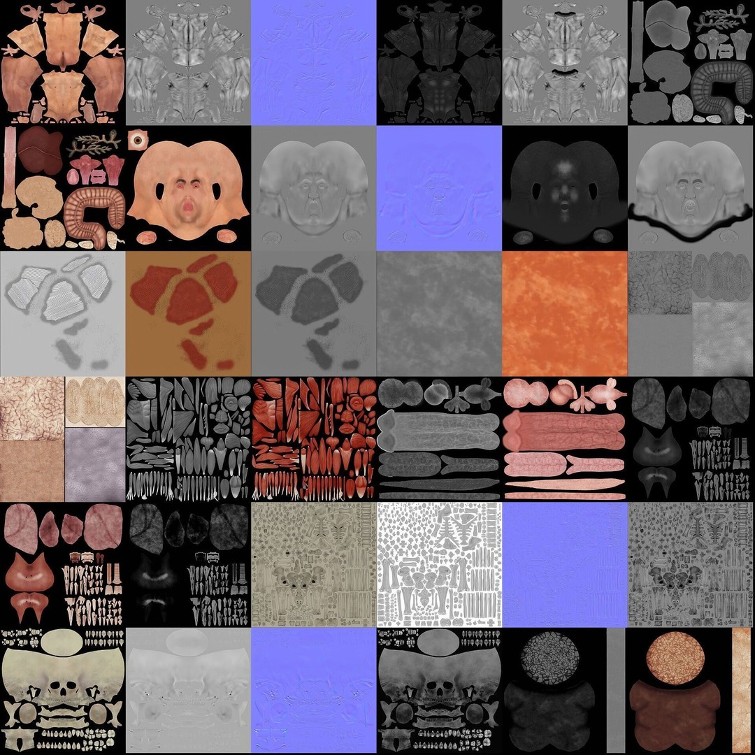 Human Male and Female Anatomy 3D Model – Complete Anatomical Systems, FBX, OBJ - View 26