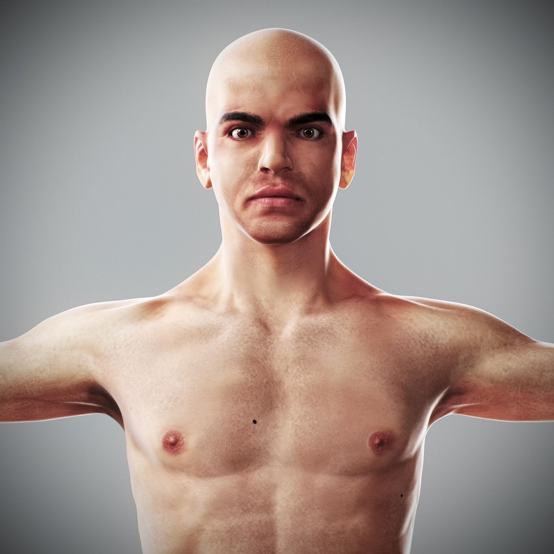 Human Male and Female Anatomy 3D Model – Complete Anatomical Systems, FBX, OBJ - View 4