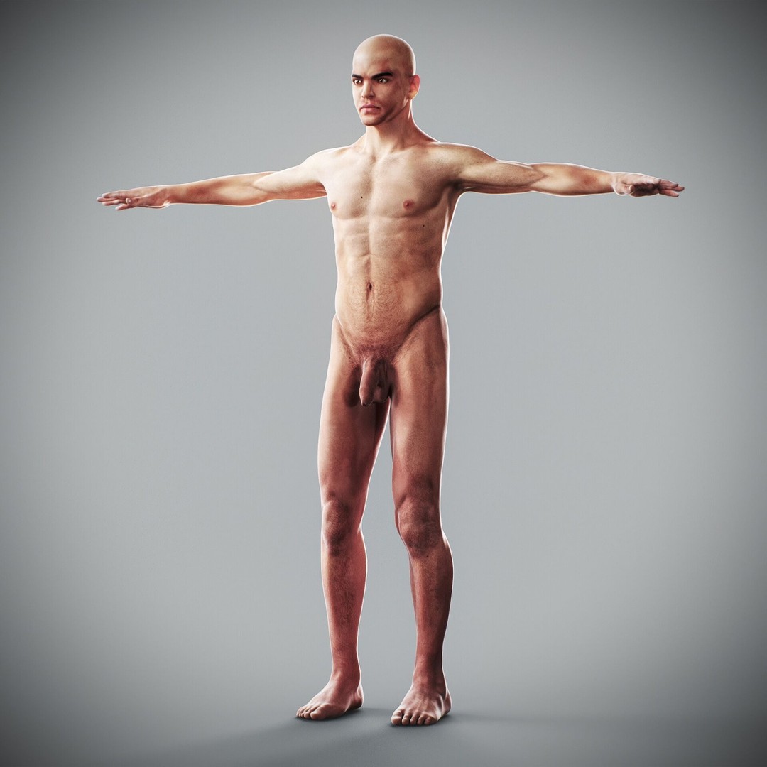 Human Male and Female Anatomy 3D Model – Complete Anatomical Systems, FBX, OBJ - View 46