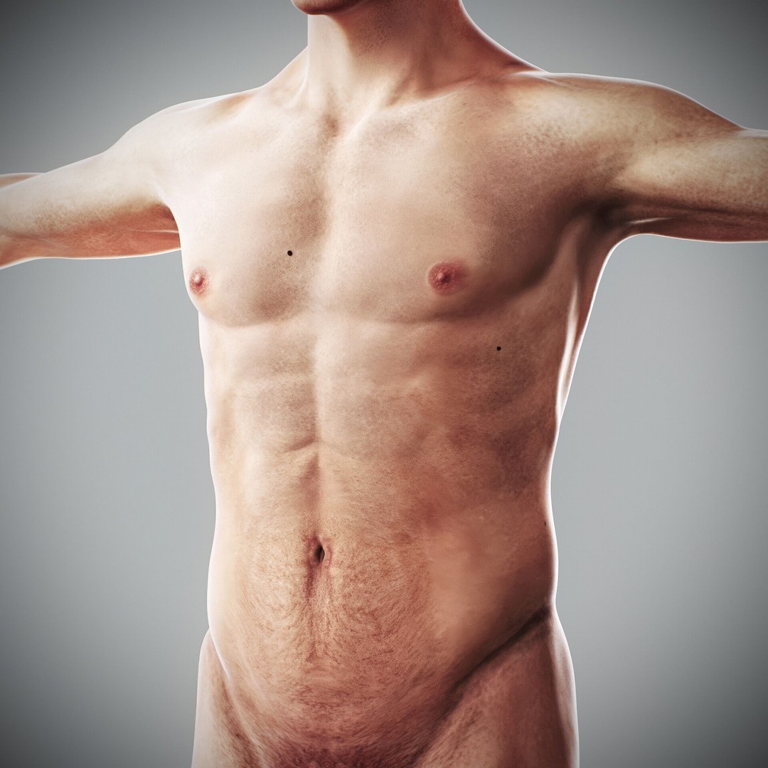 Human Male and Female Anatomy 3D Model – Complete Anatomical Systems, FBX, OBJ - View 53