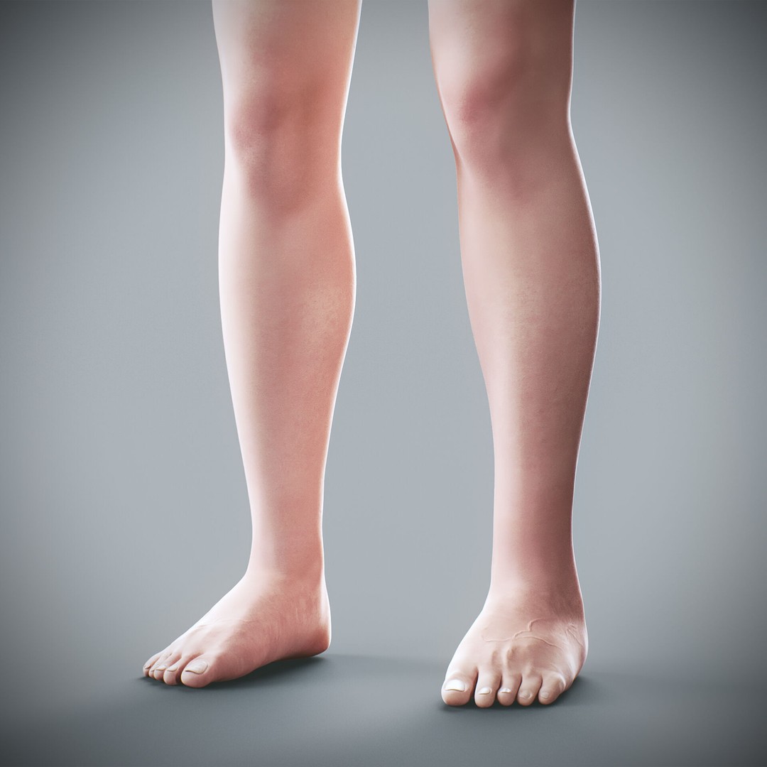 Human Male and Female Anatomy 3D Model – Complete Anatomical Systems, FBX, OBJ - View 83