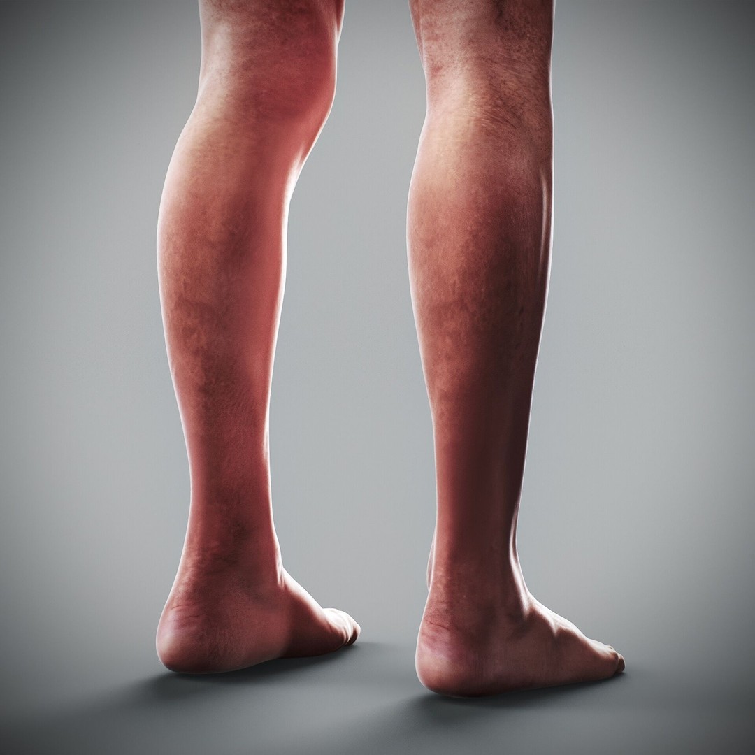 Human Male and Female Anatomy 3D Model – Complete Anatomical Systems, FBX, OBJ - View 85