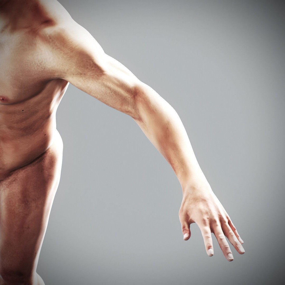 Human Male and Female Anatomy 3D Model – Complete Anatomical Systems, FBX, OBJ - View 90