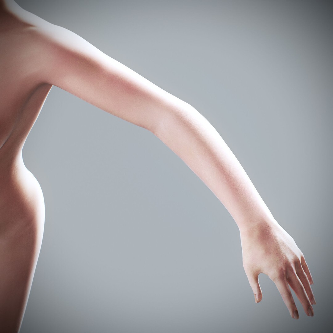 Human Male and Female Anatomy 3D Model – Complete Anatomical Systems, FBX, OBJ - View 92