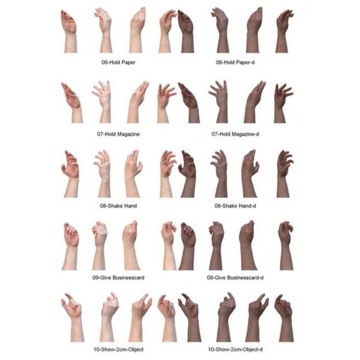 Human Hands 3D Model – Realistic Textured Poses, FBX & OBJ Formats - View 4