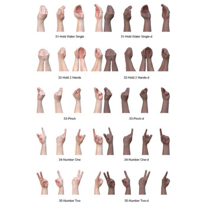 Human Hands 3D Model – Realistic Textured Poses, FBX & OBJ Formats - View 7