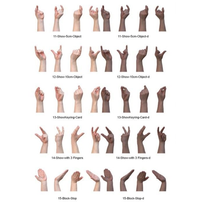 Human Hands 3D Model – Realistic Textured Poses, FBX & OBJ Formats - View 8