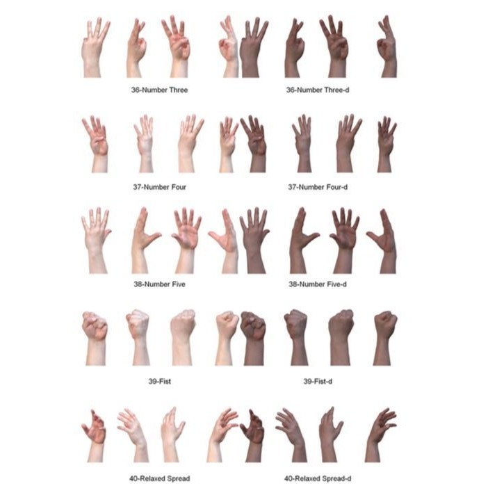 Human Hands 3D Model – Realistic Textured Poses, FBX & OBJ Formats - View 9