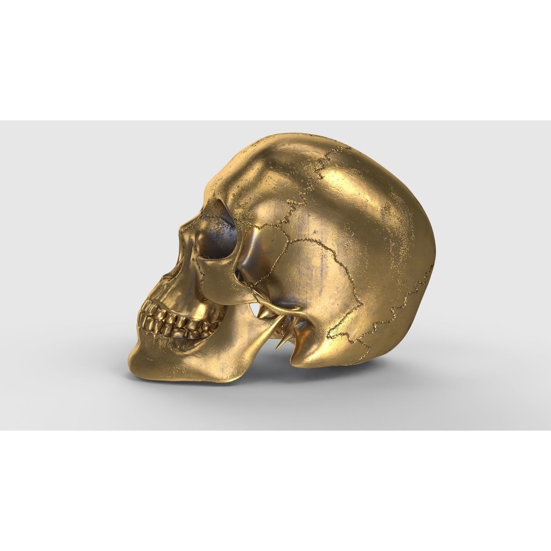 Golden Skull 3D Model – Low Poly PBR Game Asset, FBX - View 10