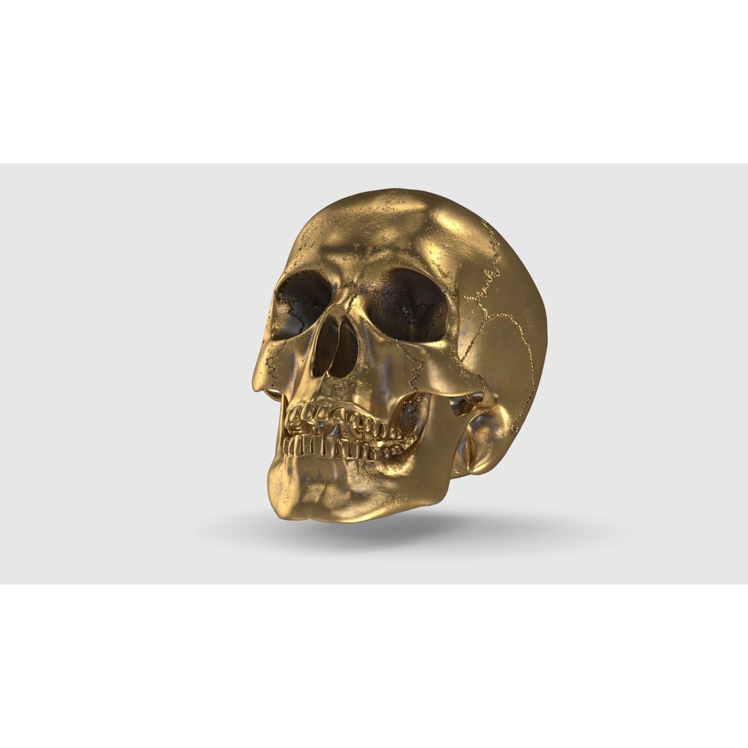 Golden Skull 3D Model – Low Poly PBR Game Asset, FBX - View 11