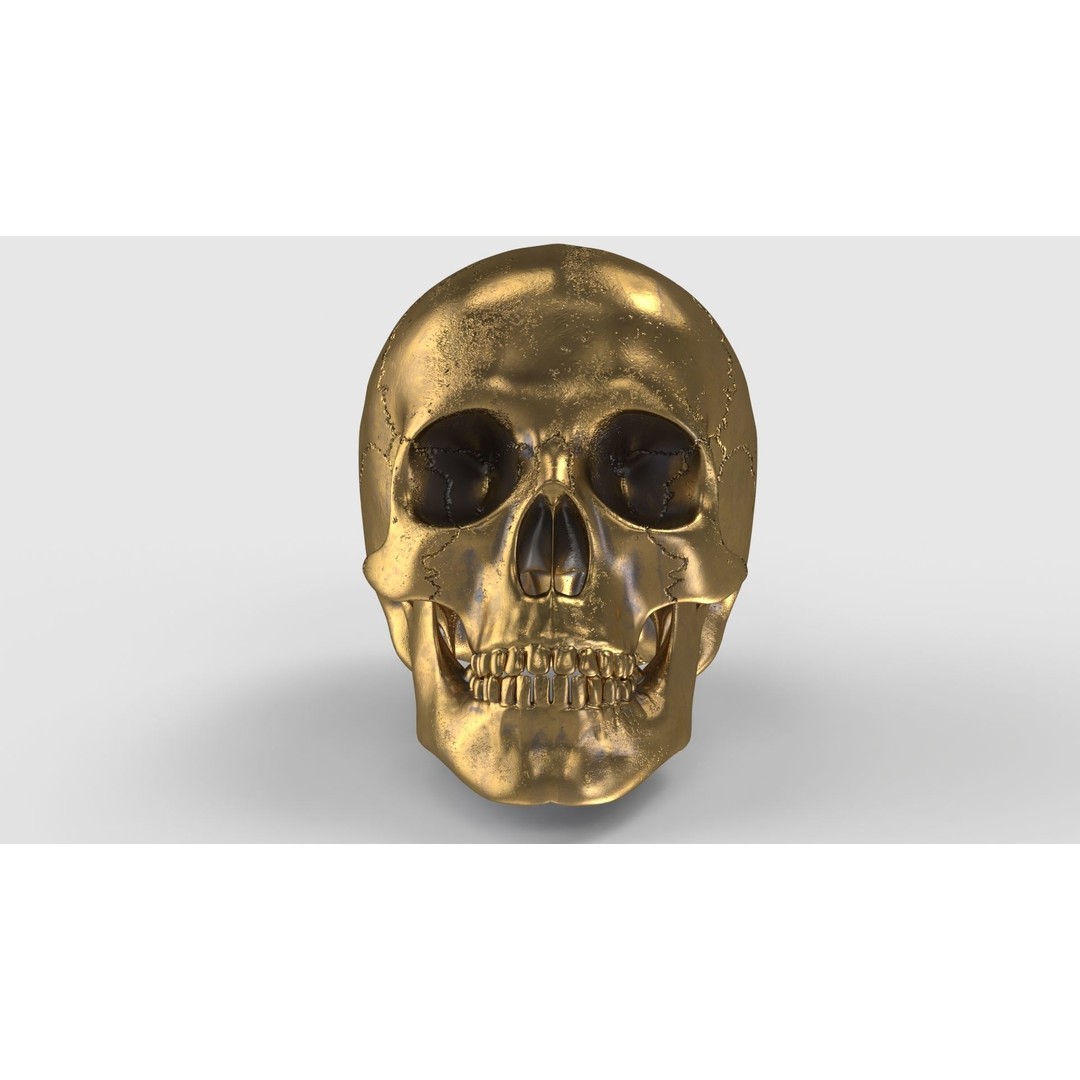 Golden Skull 3D Model – Low Poly PBR Game Asset, FBX - View 12