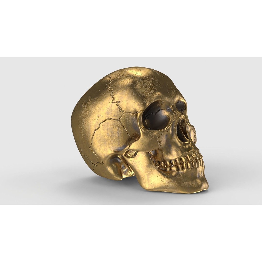 Golden Skull 3D Model – Low Poly PBR Game Asset, FBX - View 13
