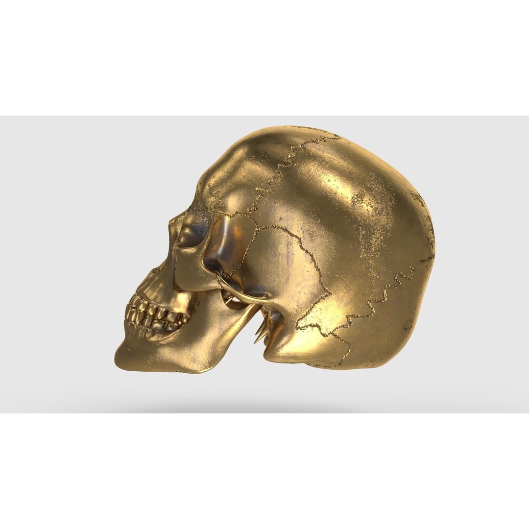 Golden Skull 3D Model – Low Poly PBR Game Asset, FBX - View 14
