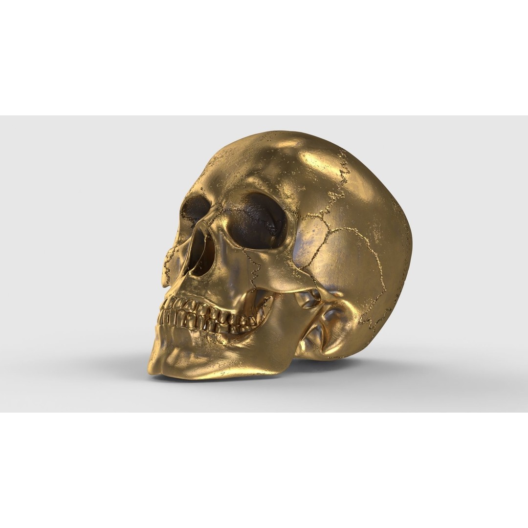 Golden Skull 3D Model – Low Poly PBR Game Asset, FBX - View 15