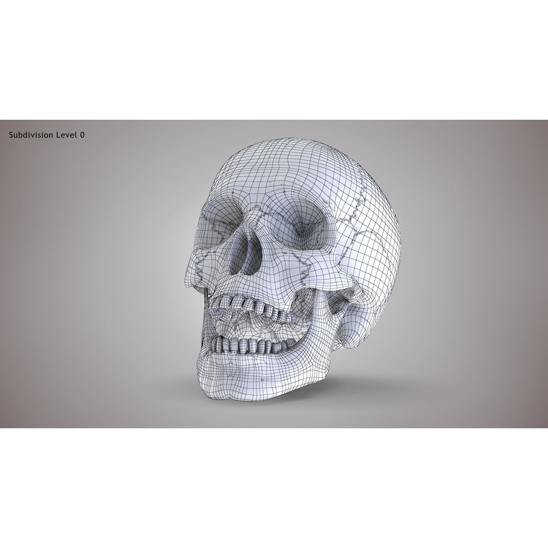 Golden Skull 3D Model – Low Poly PBR Game Asset, FBX - View 17