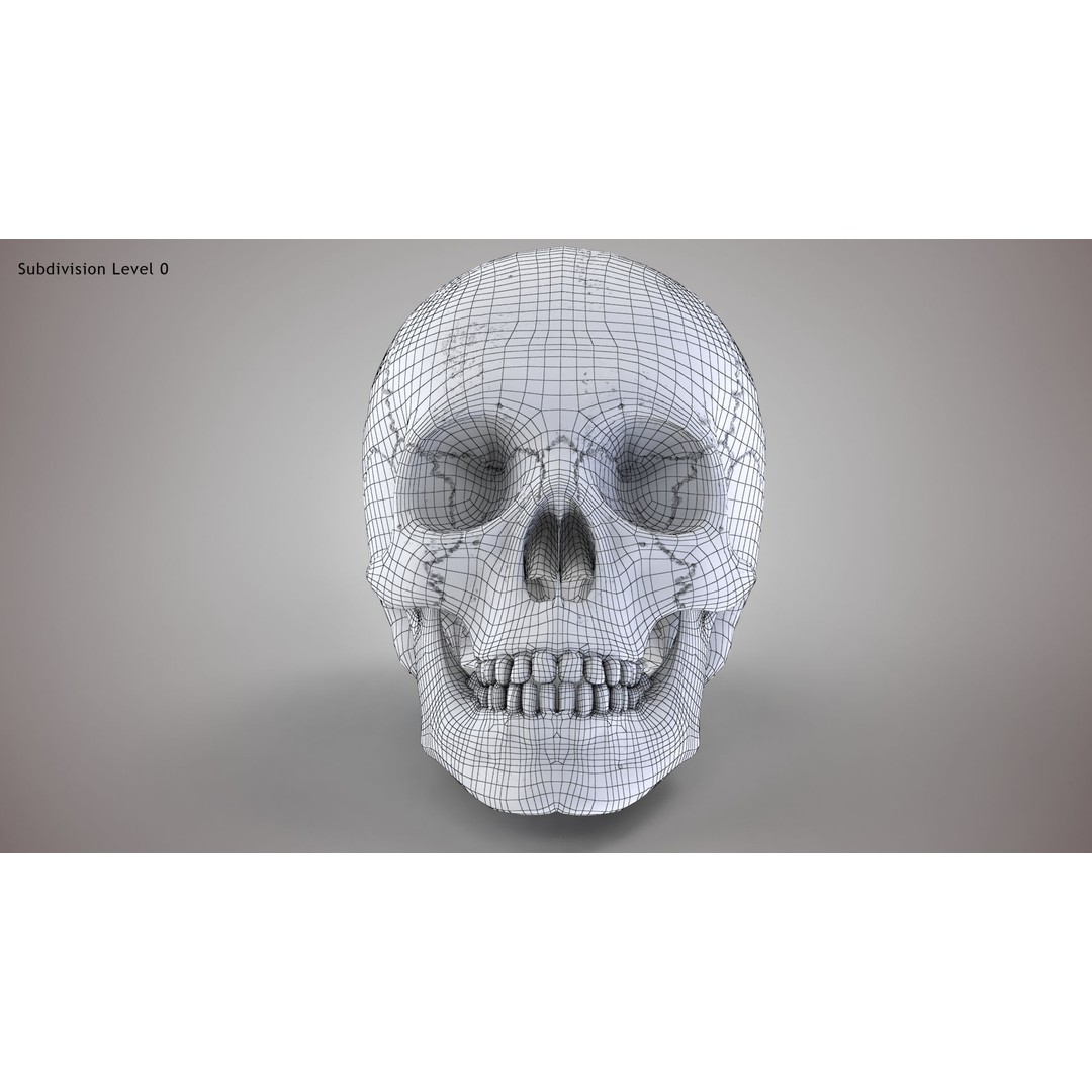 Golden Skull 3D Model – Low Poly PBR Game Asset, FBX - View 18