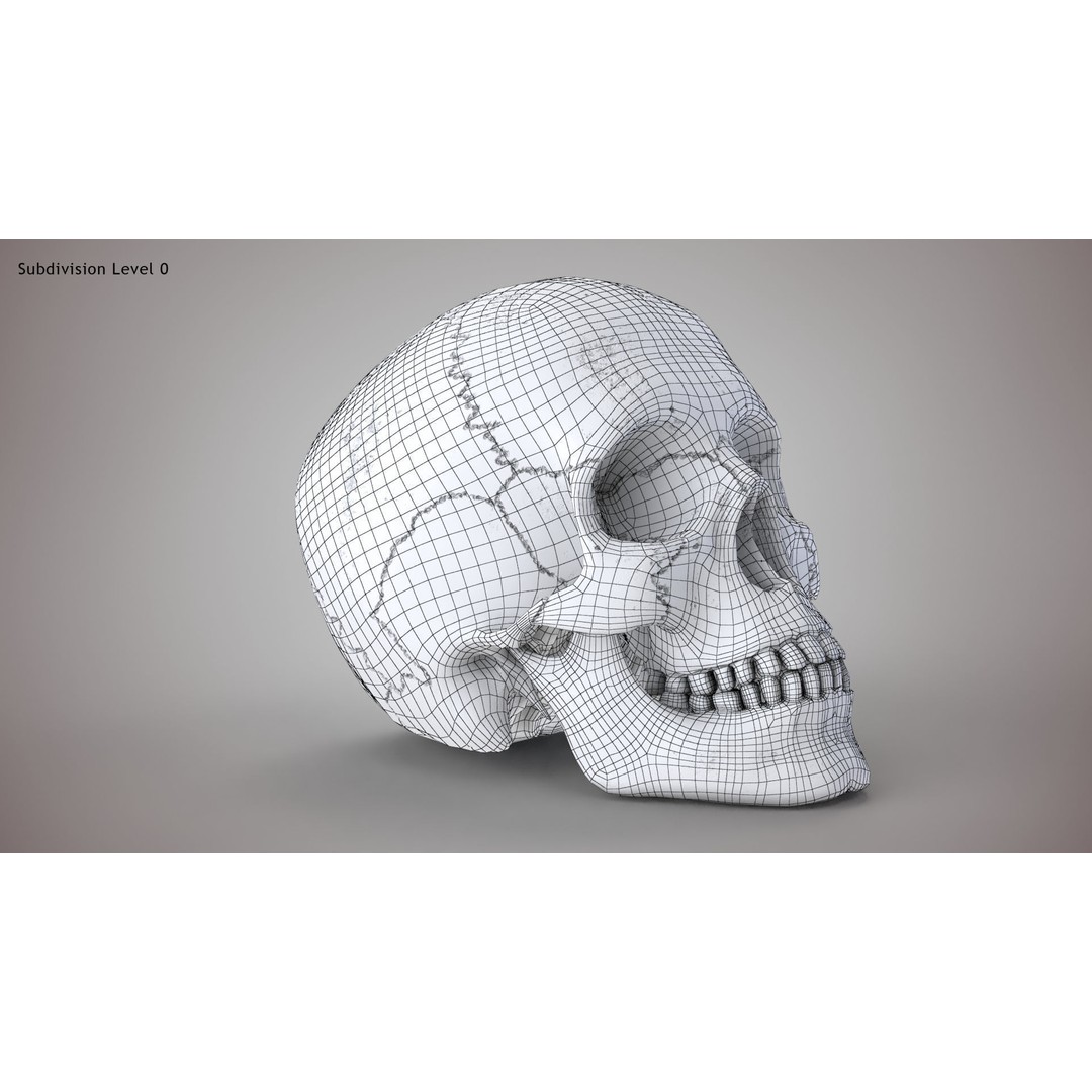 Golden Skull 3D Model – Low Poly PBR Game Asset, FBX - View 19