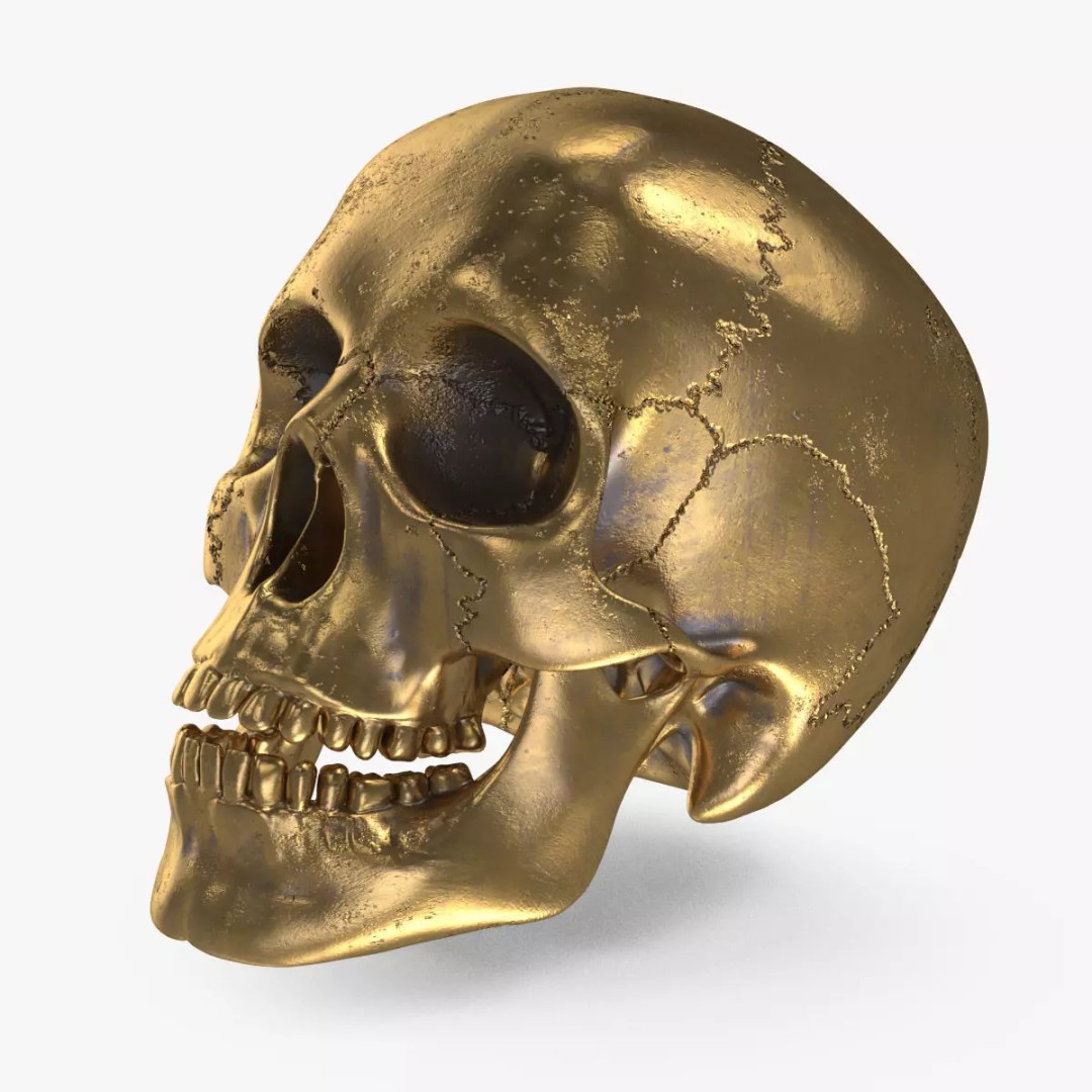 Golden Skull 3D Model – Low Poly PBR Game Asset, FBX - View 2