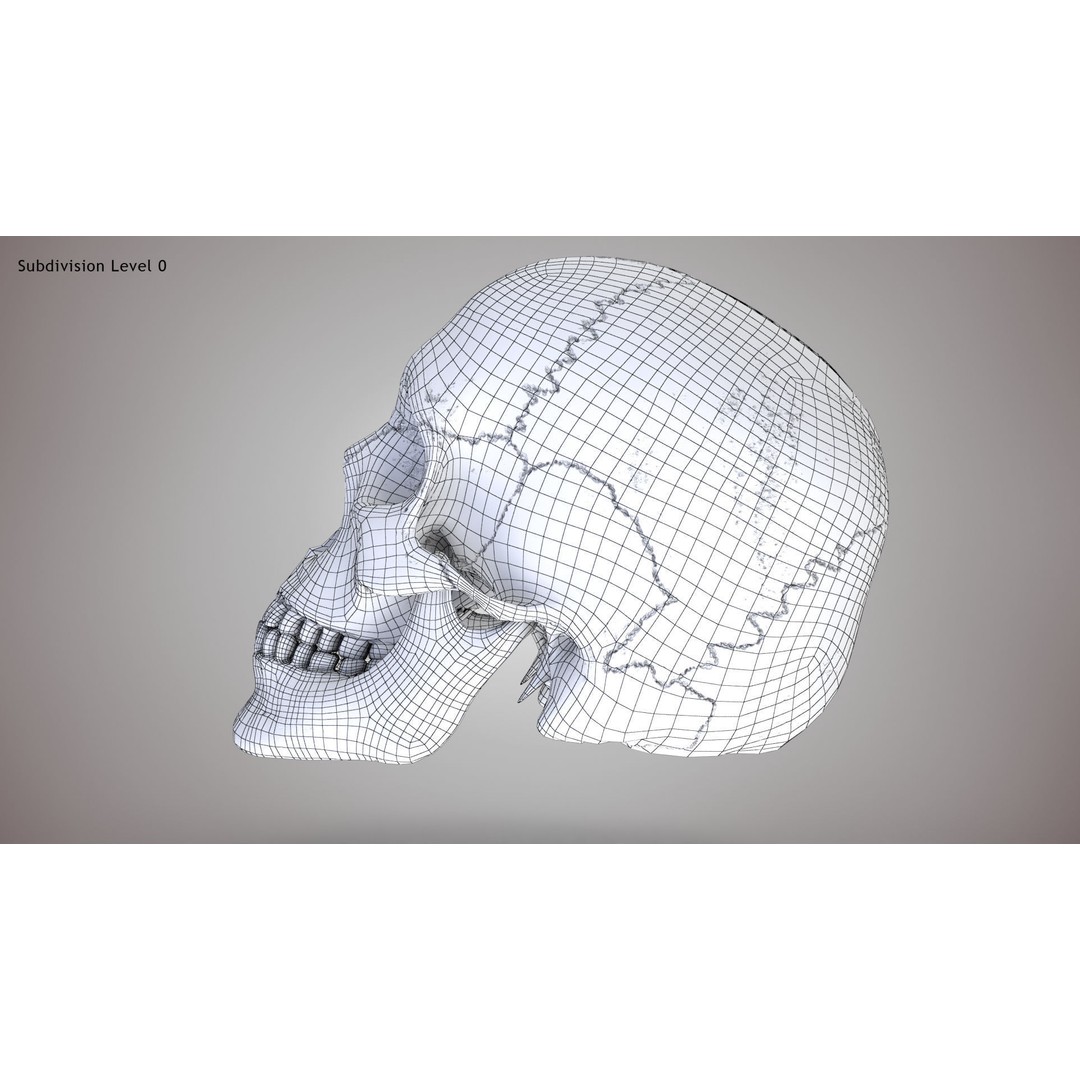 Golden Skull 3D Model – Low Poly PBR Game Asset, FBX - View 20