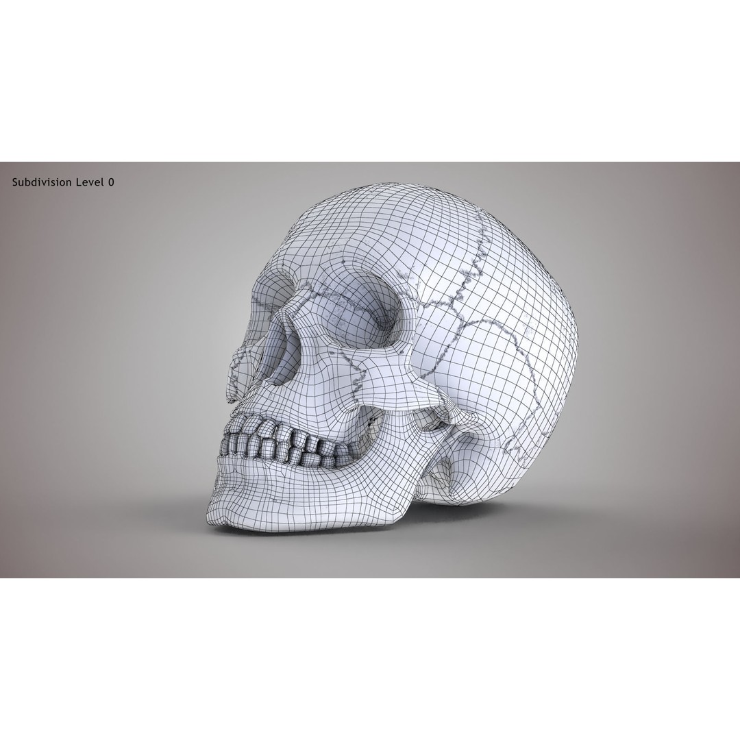 Golden Skull 3D Model – Low Poly PBR Game Asset, FBX - View 21
