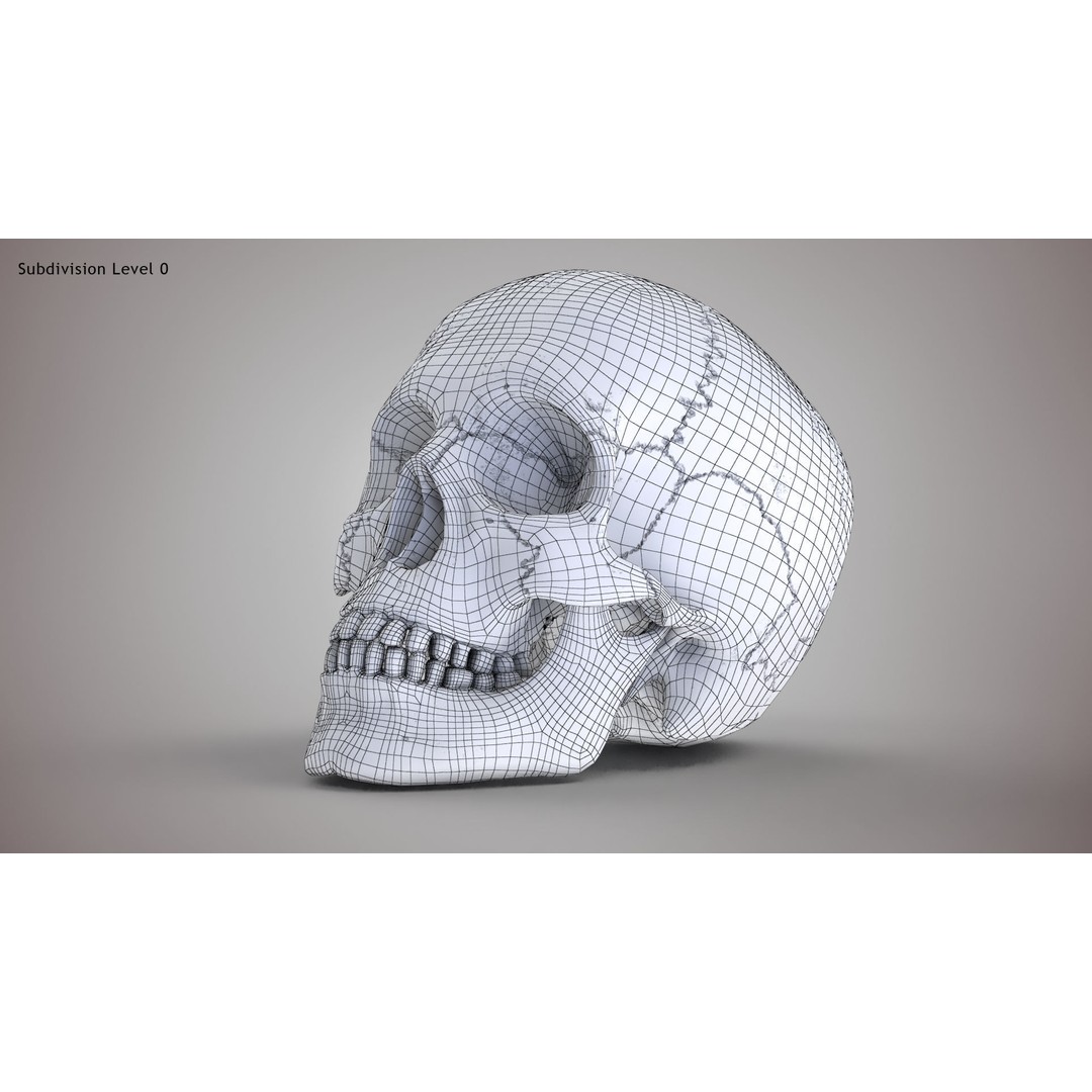 Golden Skull 3D Model – Low Poly PBR Game Asset, FBX - View 22