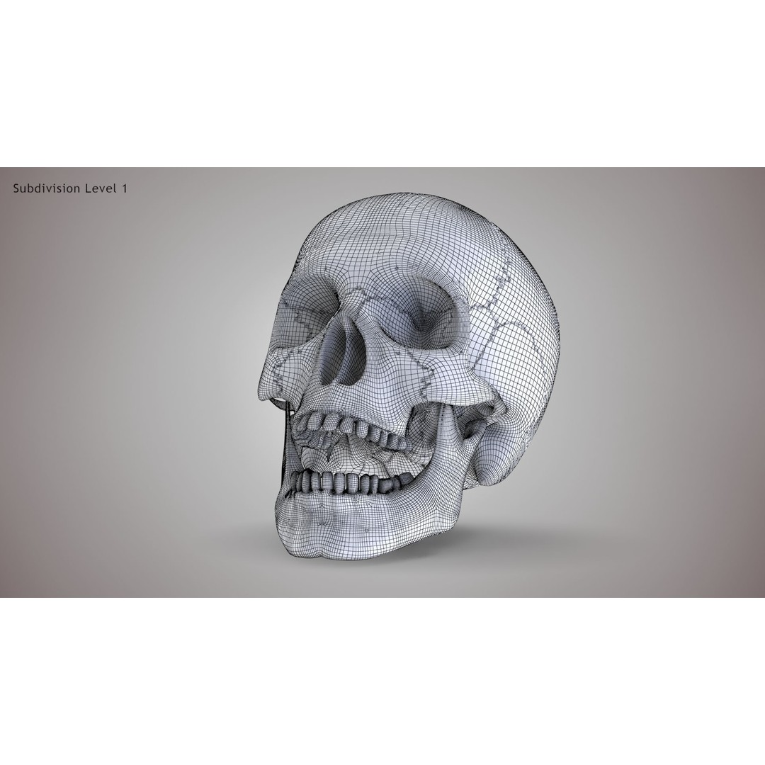 Golden Skull 3D Model – Low Poly PBR Game Asset, FBX - View 23
