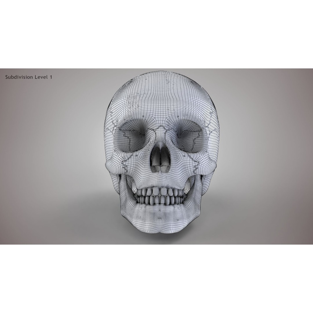 Golden Skull 3D Model – Low Poly PBR Game Asset, FBX - View 24