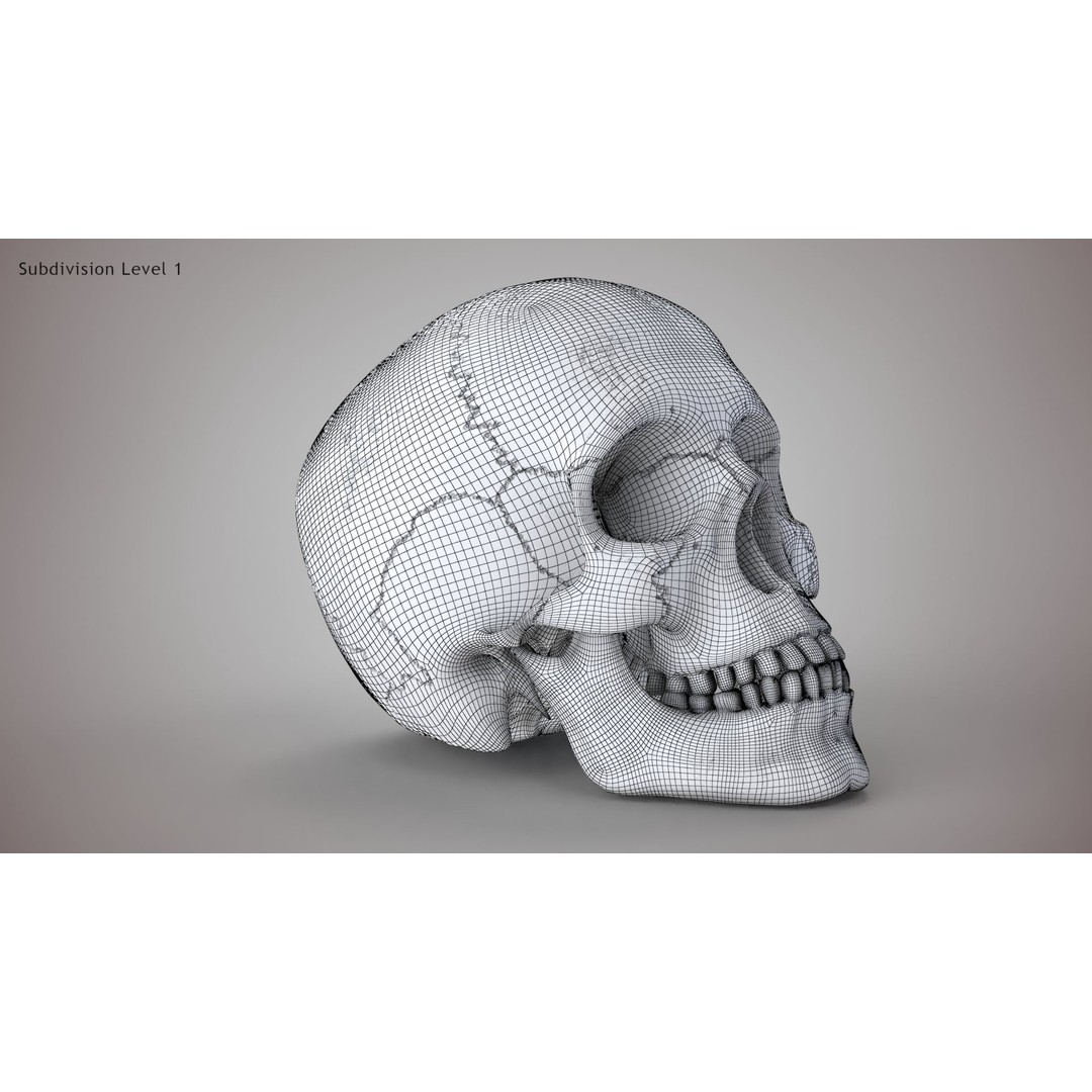 Golden Skull 3D Model – Low Poly PBR Game Asset, FBX - View 25