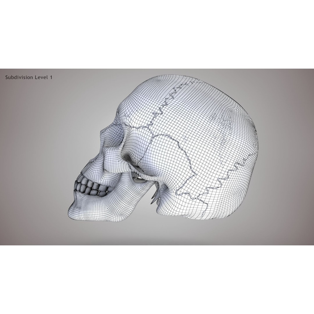 Golden Skull 3D Model – Low Poly PBR Game Asset, FBX - View 26
