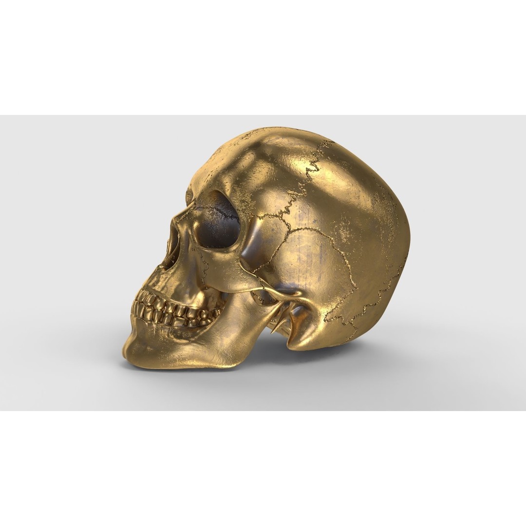 Golden Skull 3D Model – Low Poly PBR Game Asset, FBX - View 3