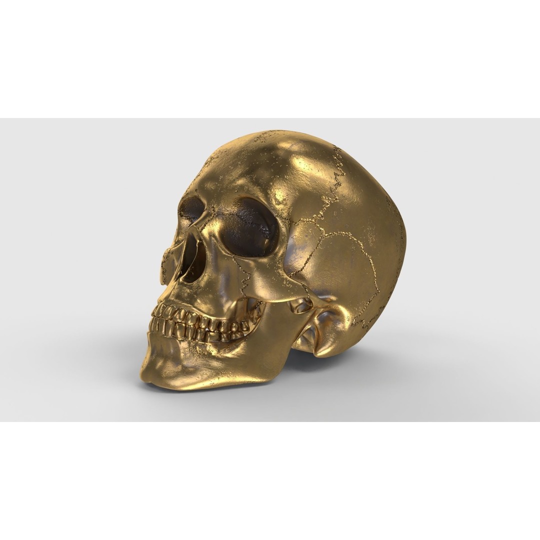 Golden Skull 3D Model – Low Poly PBR Game Asset, FBX - View 4
