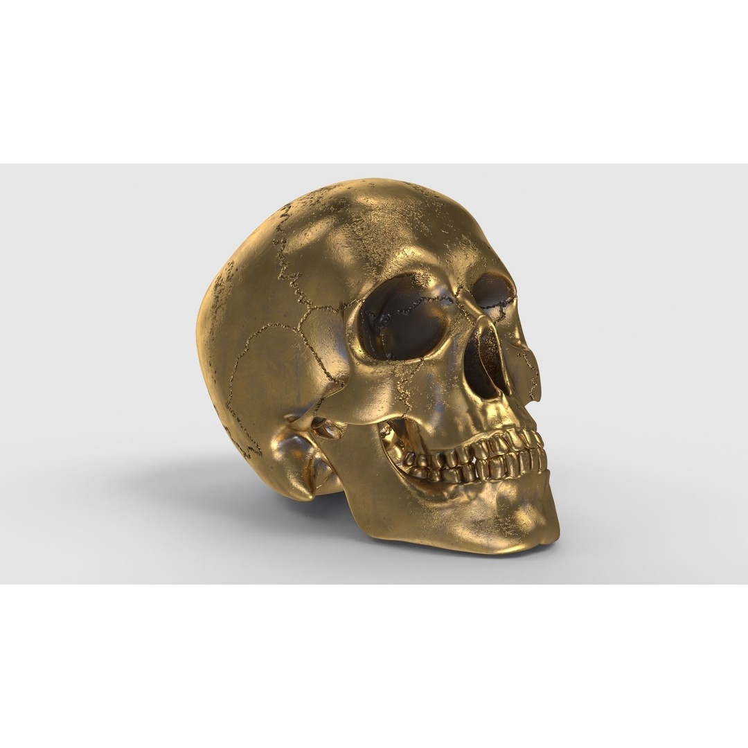 Golden Skull 3D Model – Low Poly PBR Game Asset, FBX - View 6