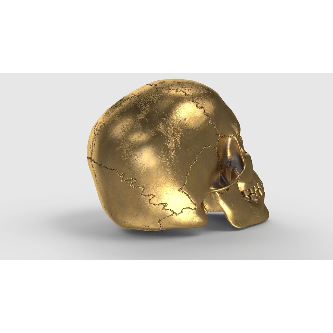 Golden Skull 3D Model – Low Poly PBR Game Asset, FBX - View 7