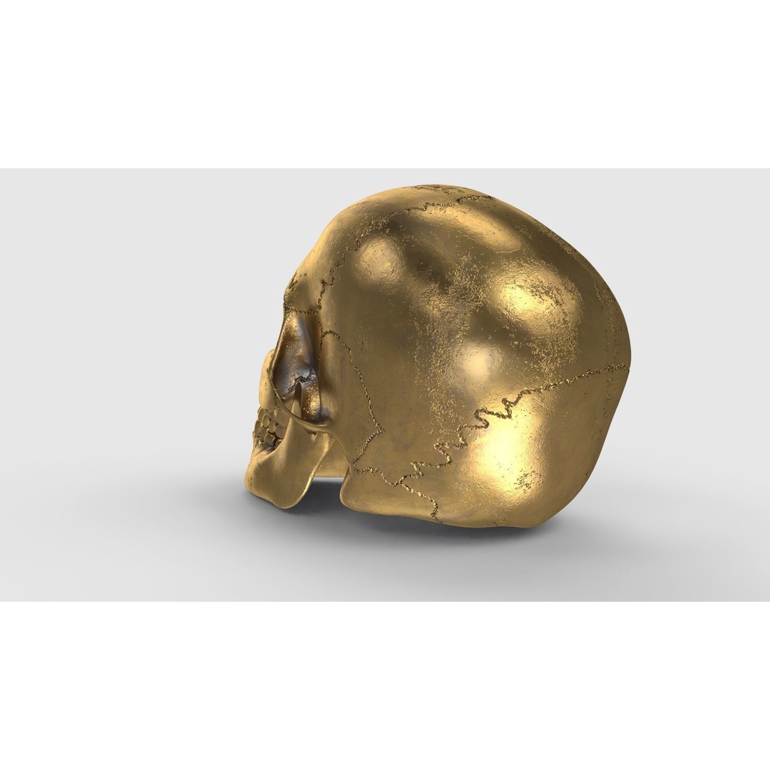 Golden Skull 3D Model – Low Poly PBR Game Asset, FBX - View 9