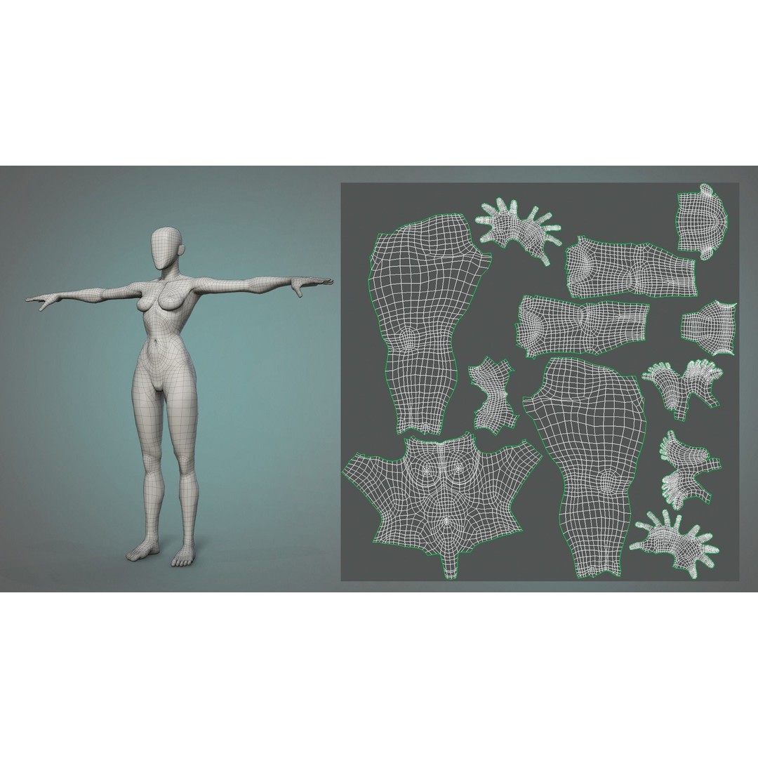 Stylized Male and Female Basemesh 3D Model – Low Poly Character Asset, FBX