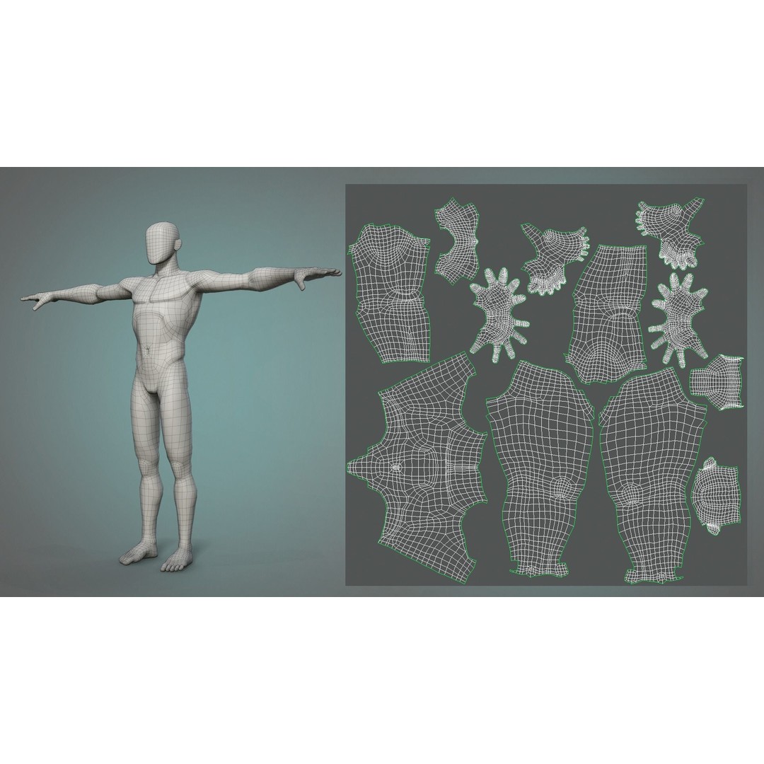 Stylized Male and Female Basemesh 3D Model – Low Poly Character Asset, FBX - View 11