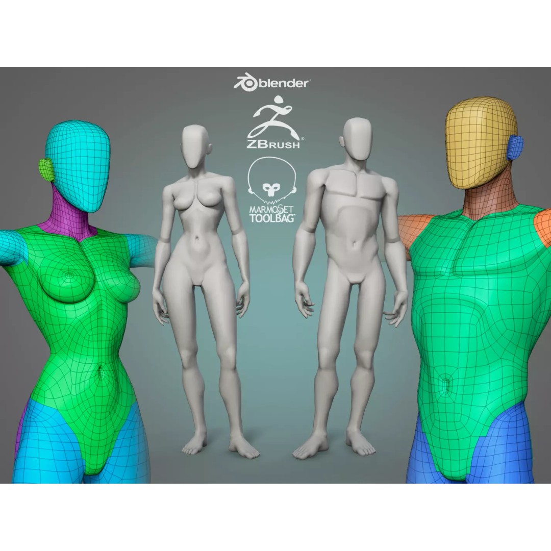 Stylized Male and Female Basemesh 3D Model – Low Poly Character Asset, FBX - View 2