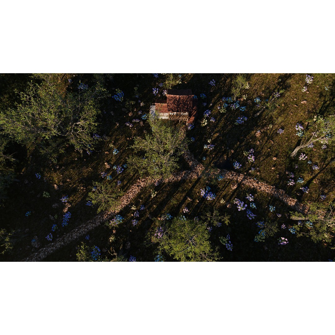 Small Garden Scene 3D Model – Realistic Landscape Asset for Blender - View 12