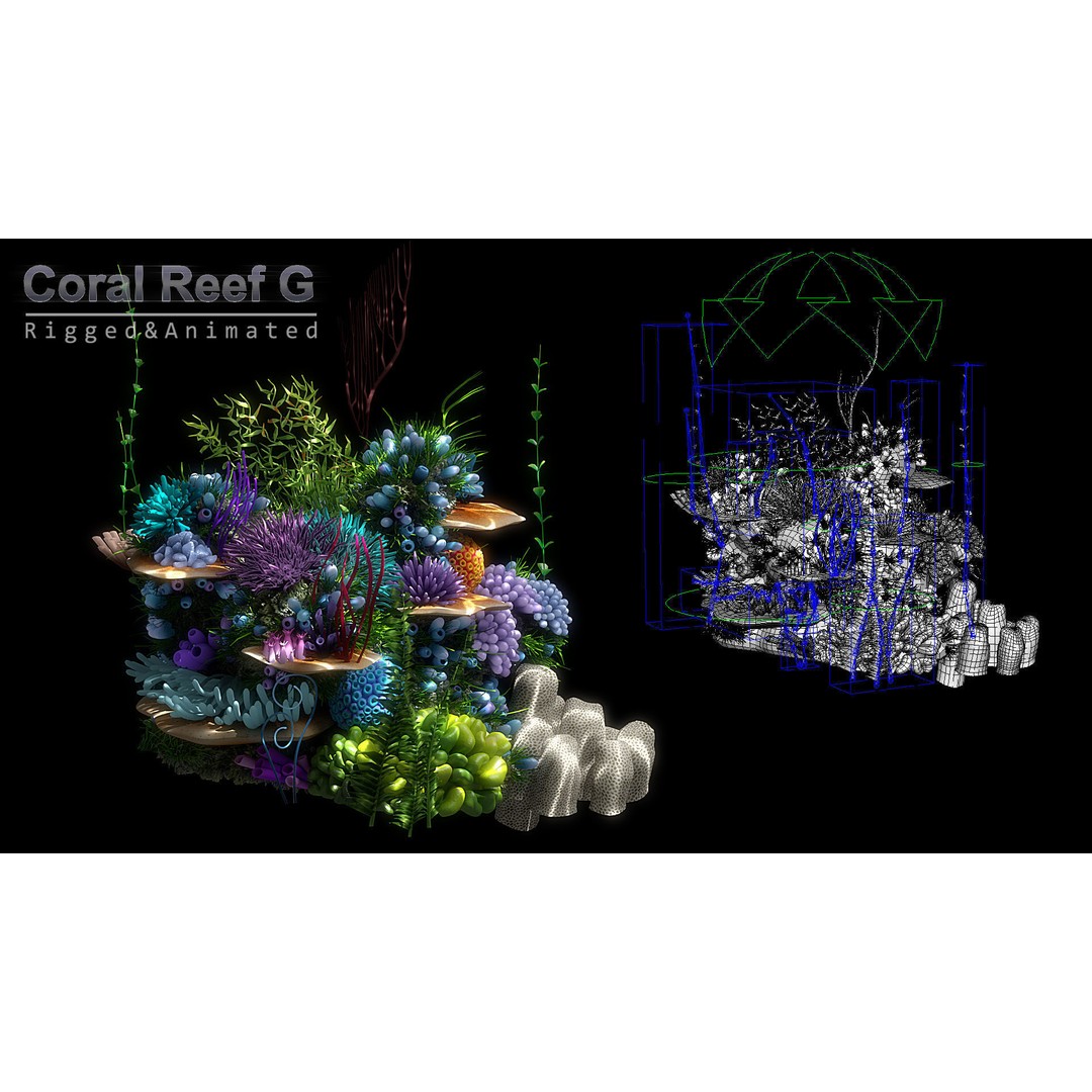 Cartoon Underwater Scene 3D Model – Rigged Animated Environment, Blender - View 11